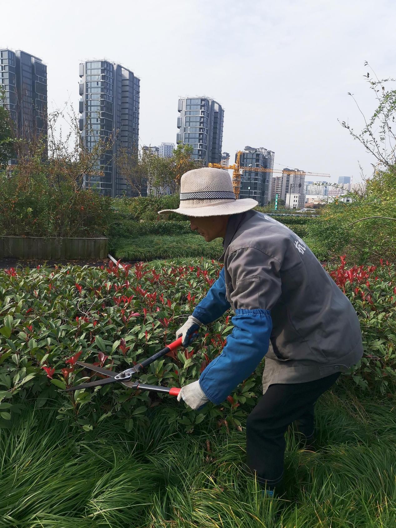 圖片1.jpg 圖片1.jpg